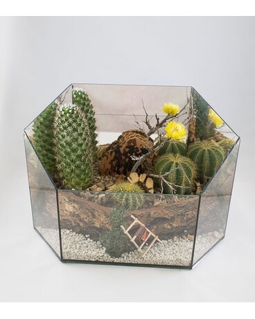 As Shown size, 10 inches height and 13 inches wide.